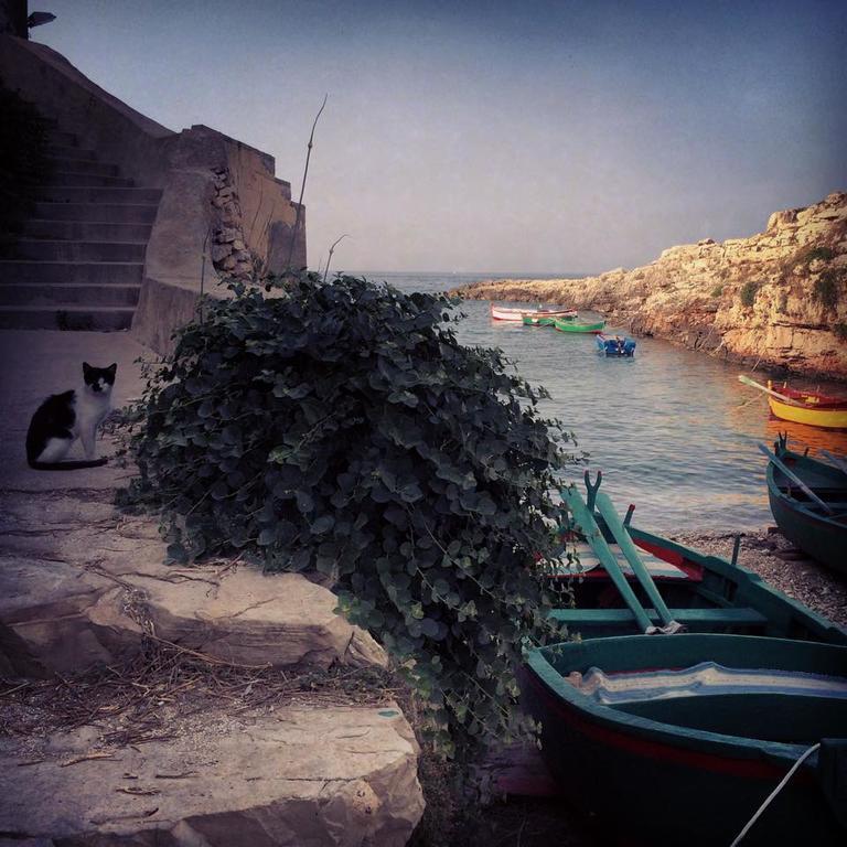 La Casetta Di Chiara B&B Polignano a Mare Exterior foto